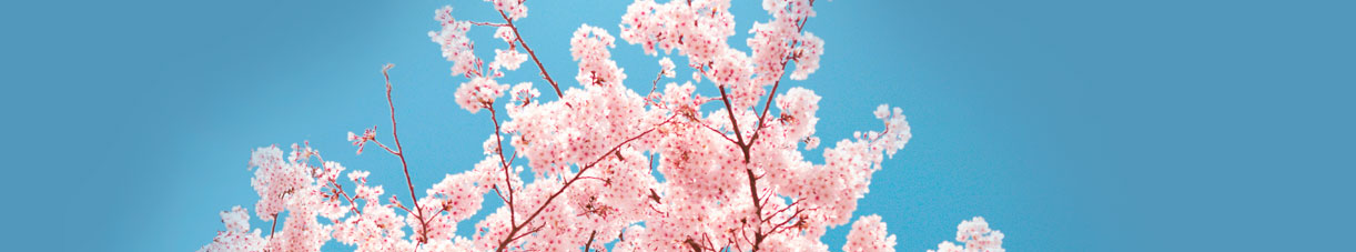 Noticias Hospital Virgen del Mar